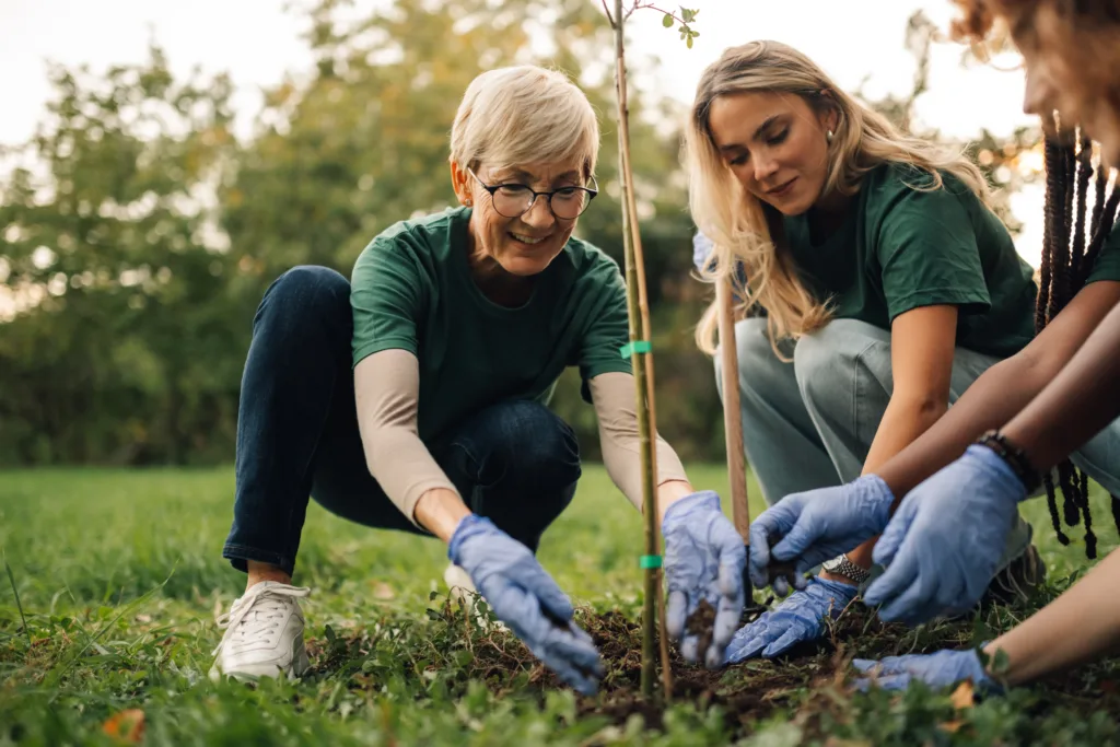 Two people planting a small tree together.