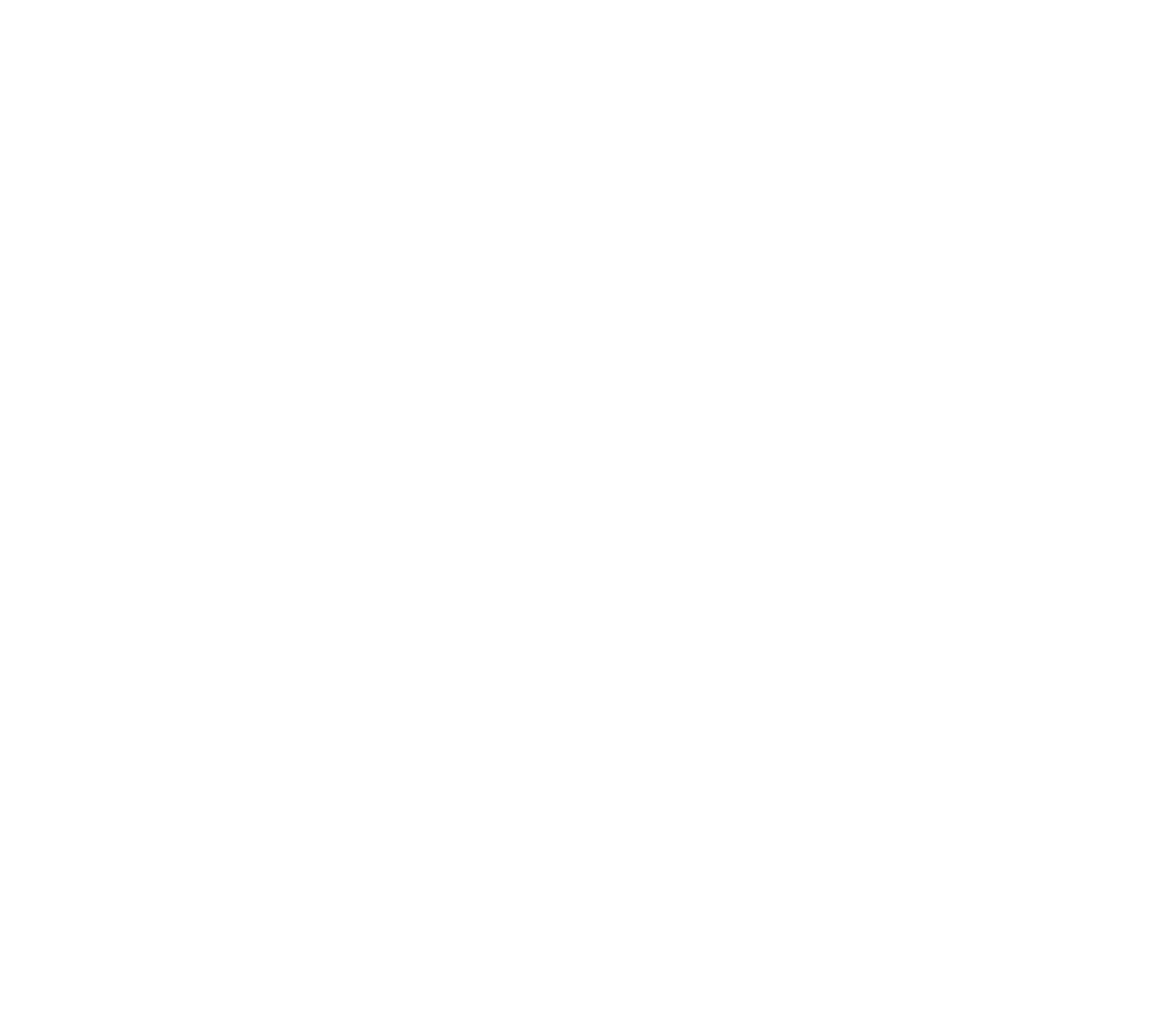 gobigsky-logo-white