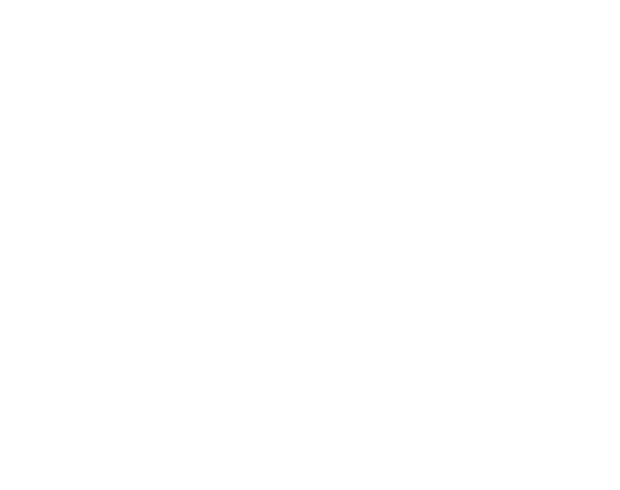 santaana-logo-white