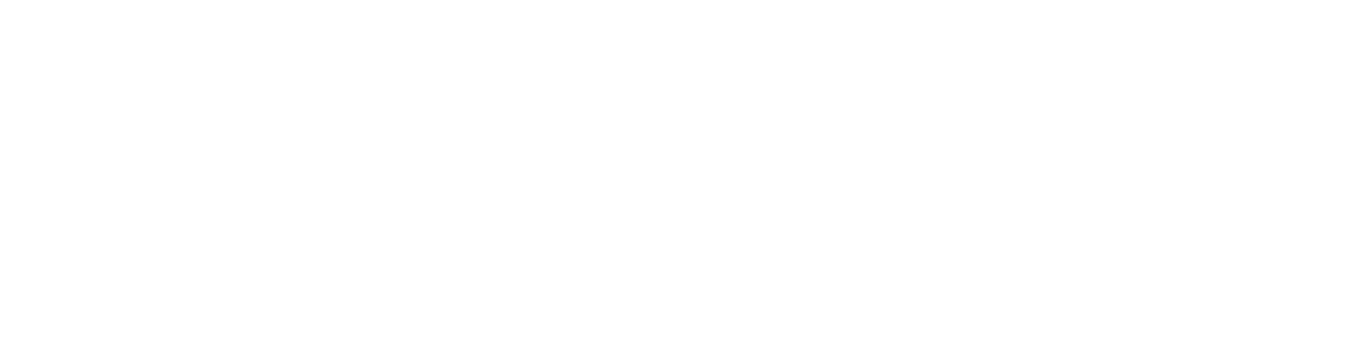 wanderful-logo-white